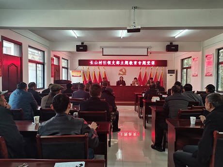 長山村開展主題教育專題黨課