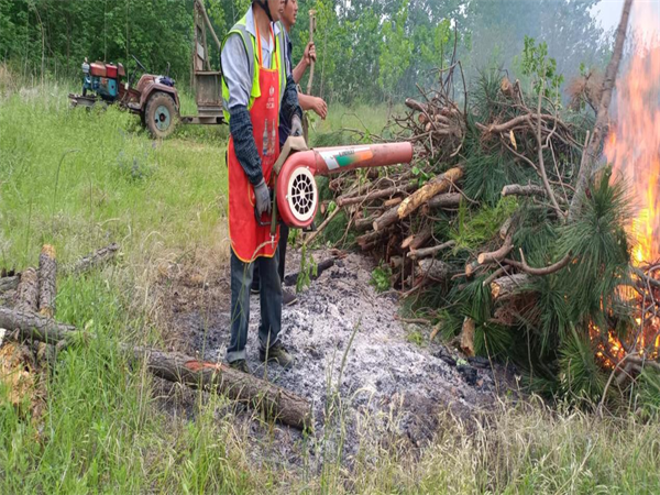 汊澗鎮釜山林場開展森林防滅火應急演練