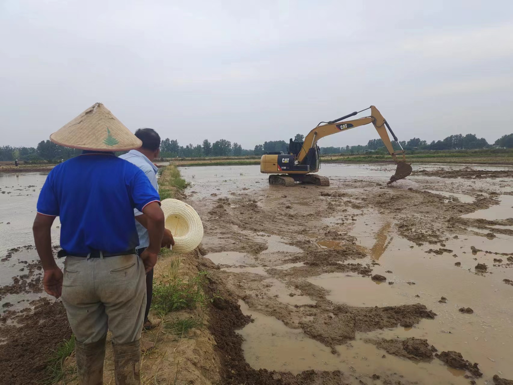 緊抓緊趕，保質保量