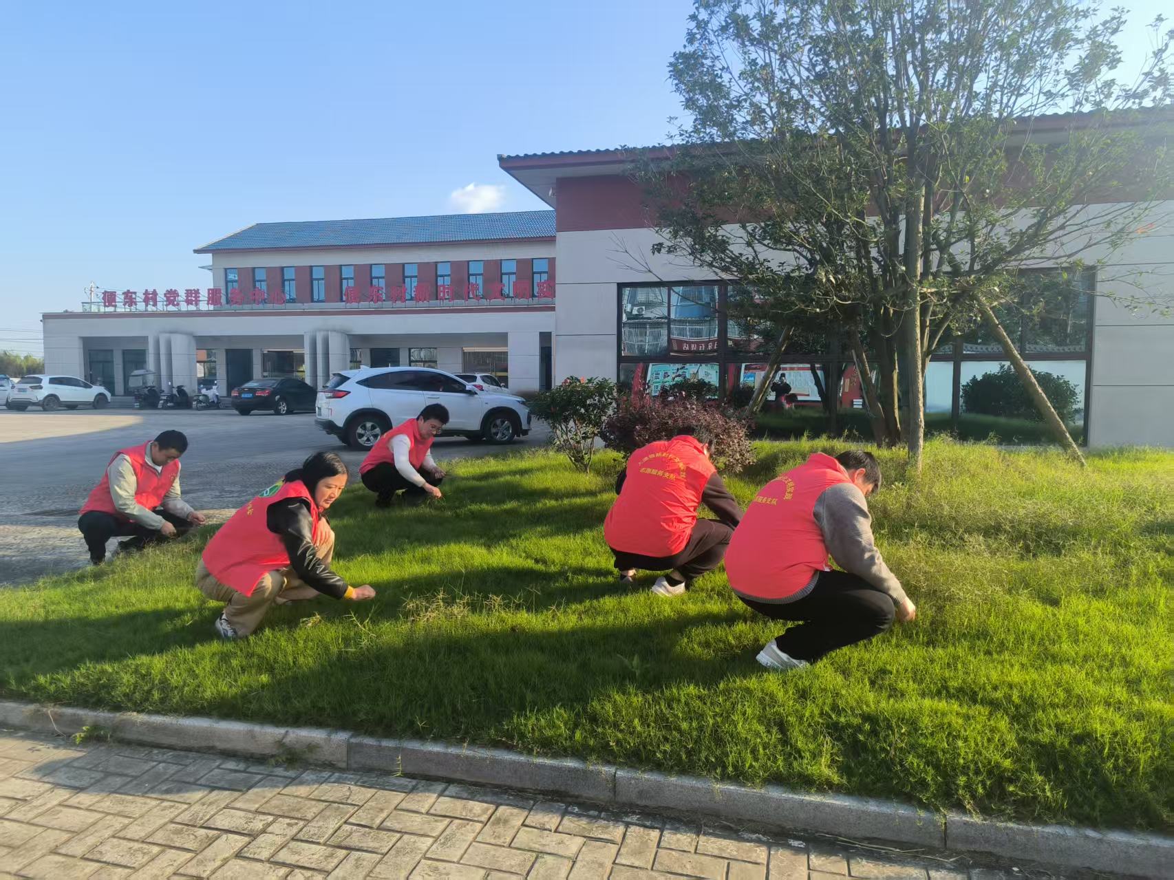 便東村開展“參與環境整治，共創美麗家園”主題黨日活動
