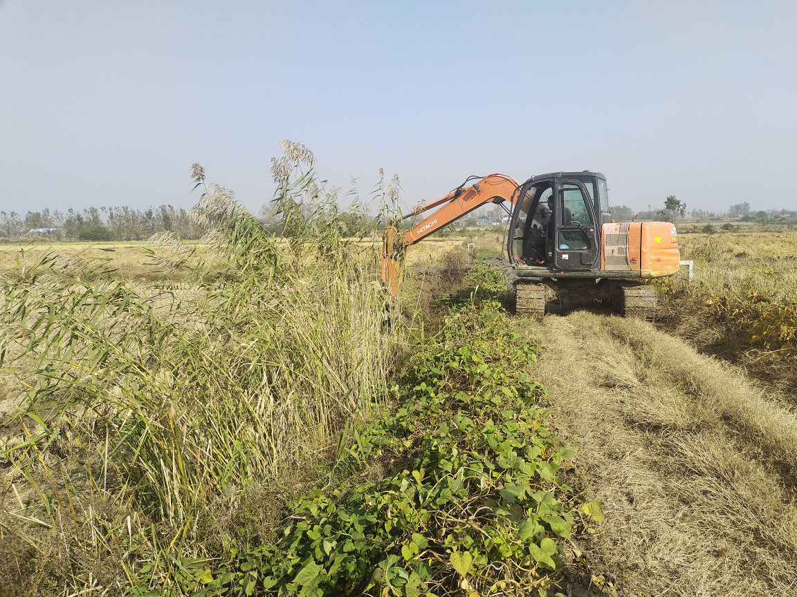 聚焦村民 “急難愁盼” ，雙柳村集中整治淤積渠道