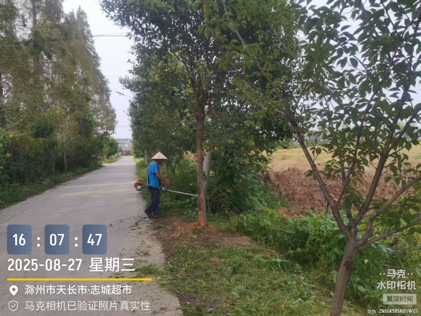 蘆柴村開展環境衛生整治