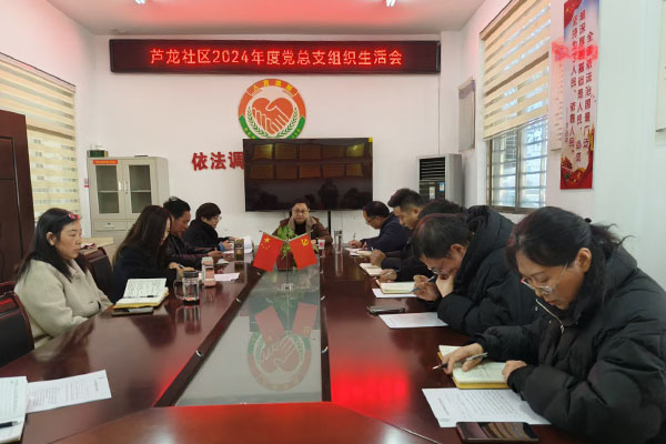 蘆龍社區(qū)黨總支召開2024年度組織生活會