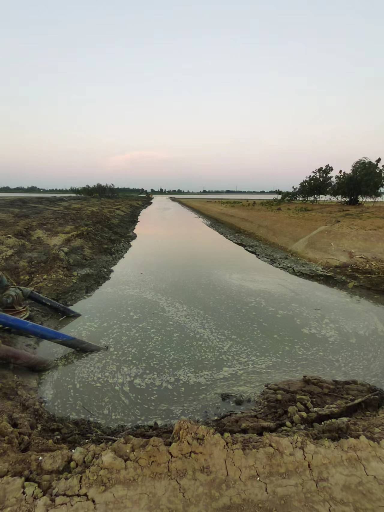 銅城鎮(zhèn)蘇橋村扎實(shí)開(kāi)展抗旱提水工作，確保農(nóng)田灌溉用水需求