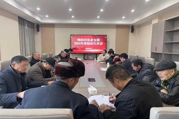 峰陽村召開2024年度組織生活會