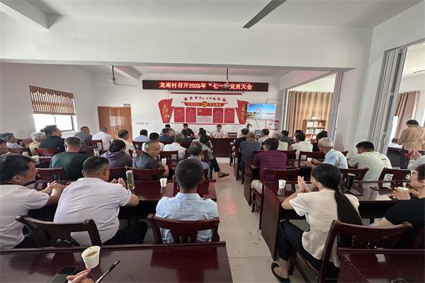 龍南村召開七一黨員大會 共慶黨的生日