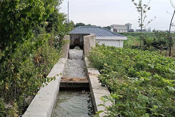 龍南村多措并舉，全力打好夏季抗旱攻堅戰