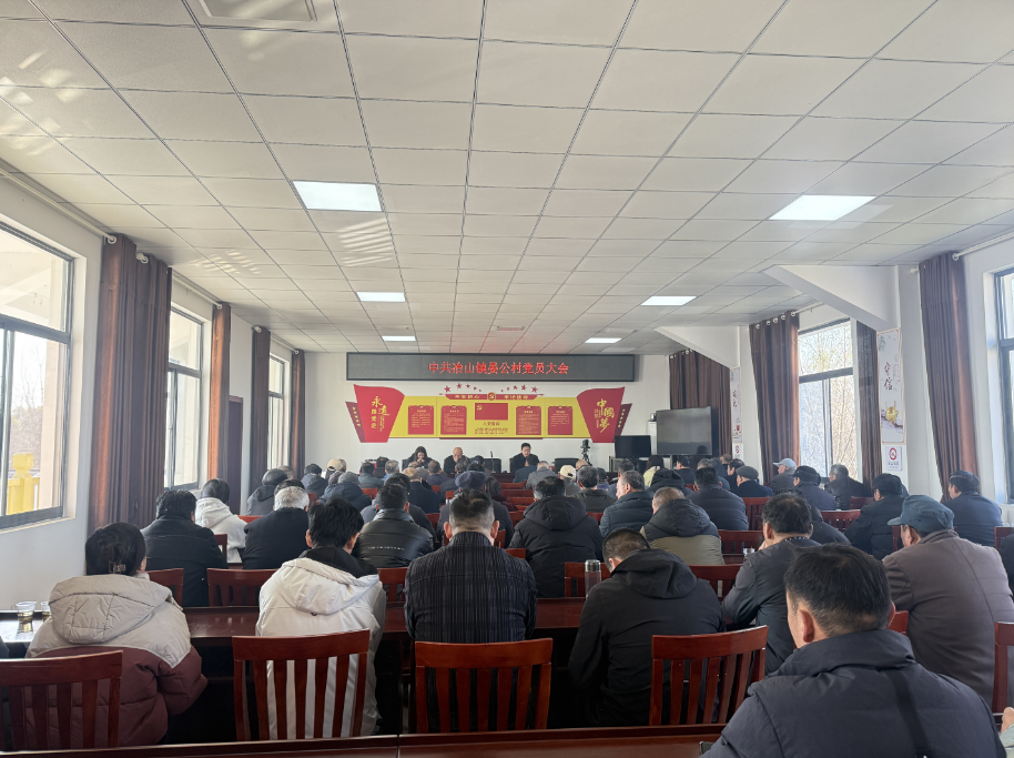 晏公村黨總支召開2024年度組織生活會