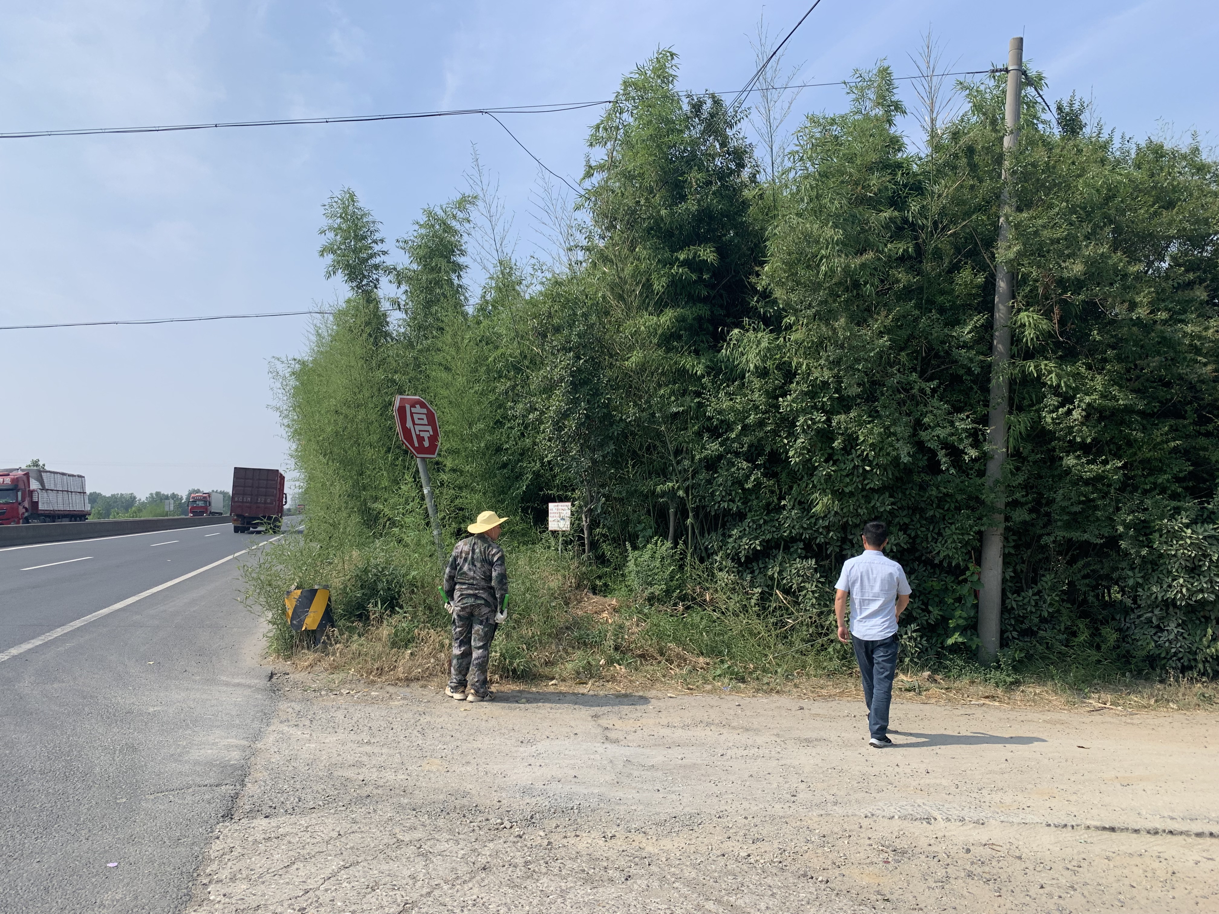 尚武村開展主干道路口清雜活動