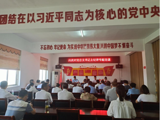 尚武村黨總支書記上紀(jì)律專題黨課
